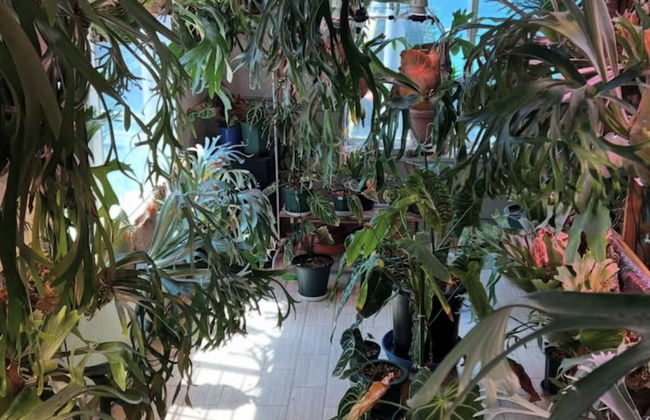 Rental cottage Santorope - Foto 4