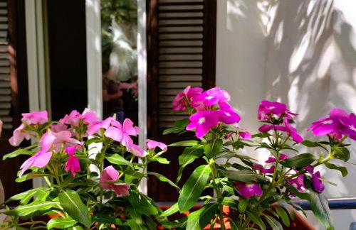 Domus Vetriera - Foto 14