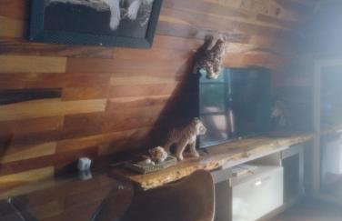 Chalé toca do tigre - Foto 5