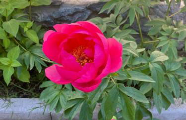 Casa Lo Tzé Relais - Indipendent house with amazing view - Foto 23