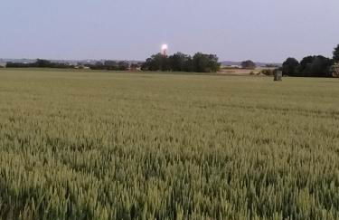 Ferienhaus kleiner Leuchtturm - Steuerbord Fehmarn Kopendorf - mit Garten und Terrasse - Foto 4