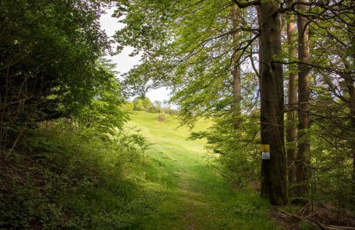 App 510 Panoramic Hohegeiß mit Fernblick - Foto 26