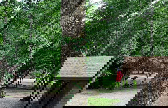 Elk Springs Resort - Foto 66