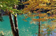 Przystanek Leszczyniec w Sudetach z jacuzzi - za dopłatą - Foto 22