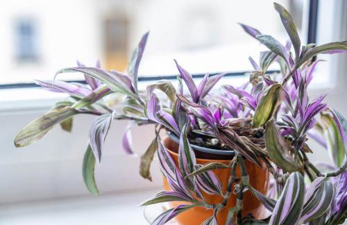 Residenz Schlossturm - Foto 11