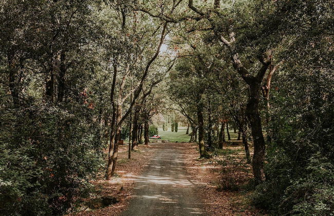 Ginestriccio - Foto 56