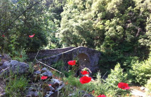 house in the medieval village - Foto 71