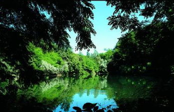 Agriturismo Tenuta la Marchesa - Foto 13