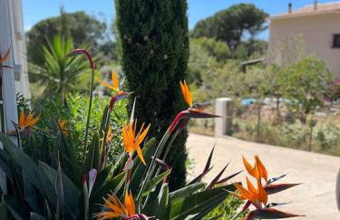 Villa Livia Porticcio piscine 500m plage - Foto 43