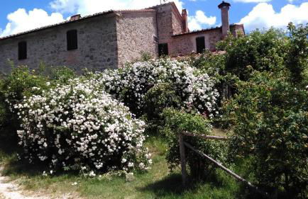 Agriturismo Podere Casetta - Foto 36