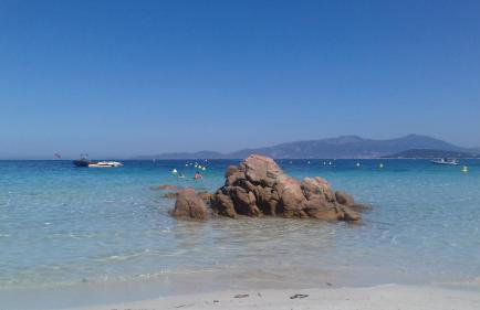 Camélia Plein Soleil Bord de Plage - Photo 29