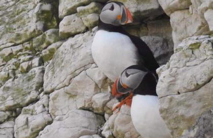 Grove Cottage, Flamborough - Foto 12