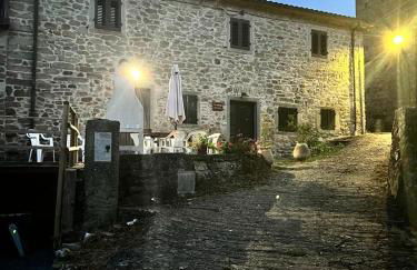 THE DORMOUSE - Il Ghiro - Foto 6