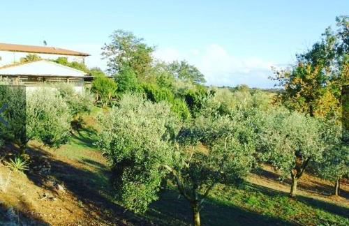 Agriturismo Colleverde Capalbio - Foto 58