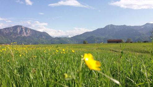 Ruhige Lage, Alpen & See Nähe - Foto 3