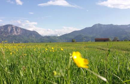 Ruhige Lage, Alpen & See Nähe - Foto 3