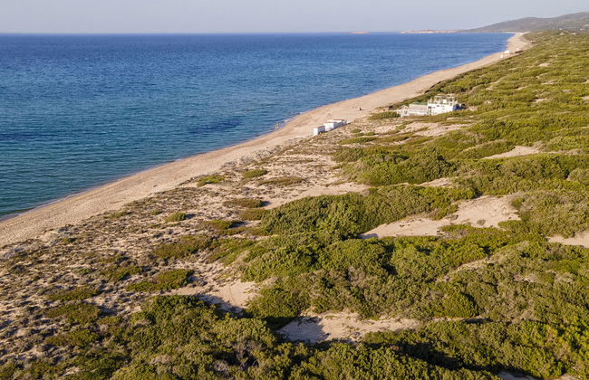 Happy Island - Photo 29