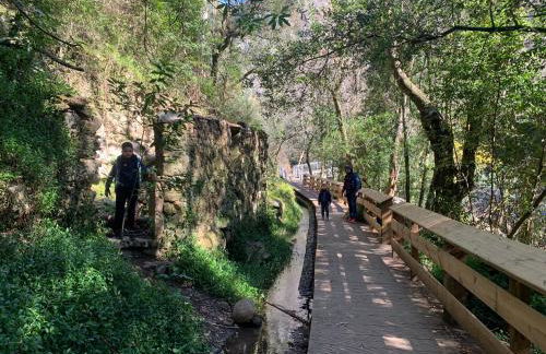 Casa Agostinho - with private pool near Coimbra - Foto 35