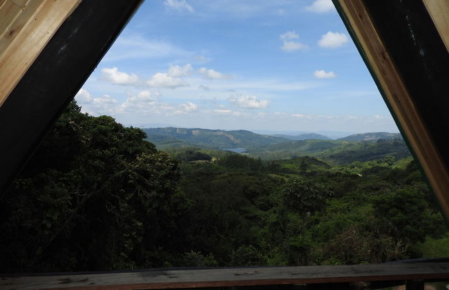 Madrugada Magic - Foto 18