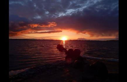 Appartement auf Rügen - Foto 67