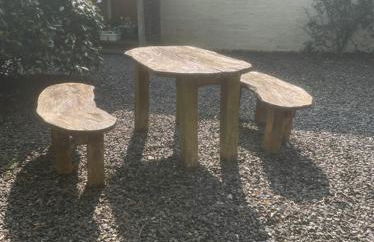 Wrens nest - Foto 18