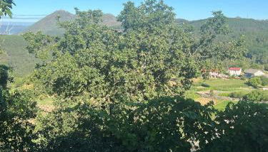 Casa da Mini - Foto 5, Garden view