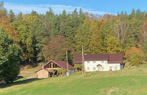 Agrowinnica - Photo 1