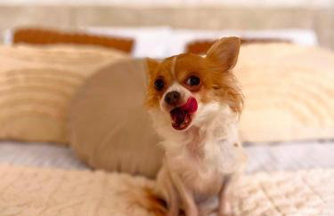 Apartamenty Paryskie Old Town View - Foto 79