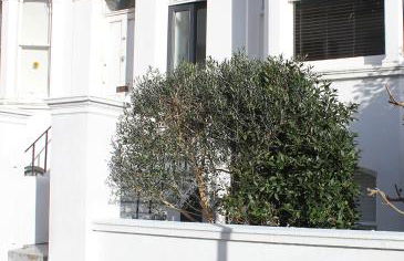 West Hill Apartment - Foto 21