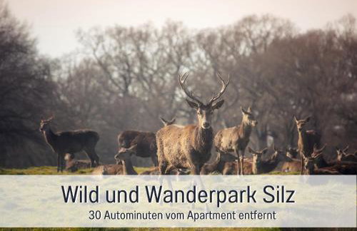 WINETIME - Apartment Roschbach - für bis zu 5 Personen - idyllisch an den Weinbergen der südlichen Weinstraße zwischen Landau und Neustadt gelegen - Photo 42