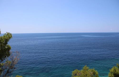 Robinson Lovorka - Foto 72