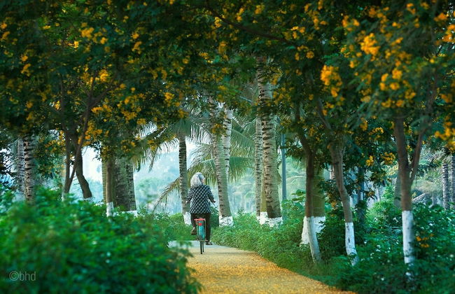 Friendly House QMP - Ecopark - Photo 32