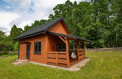 Groszkówka - Foto 5