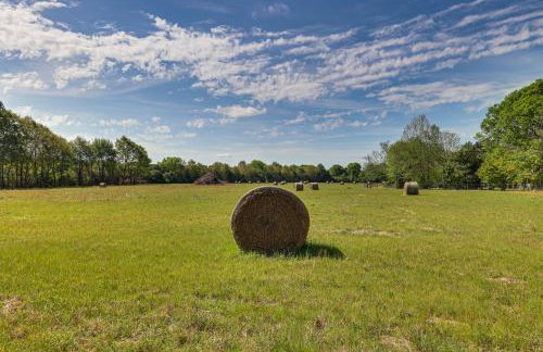 Spacious Retreat, 2 Miles to Tuskegee University - Foto 28