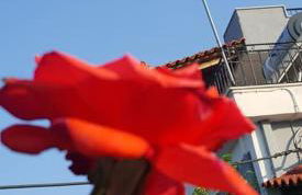 Anthis Studios - Foto 40