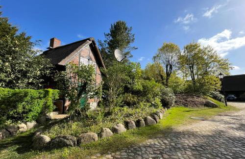 Ferienhaus unter Reet im Heidedorf Sankt Dionys bei Lüneburg - Foto 14