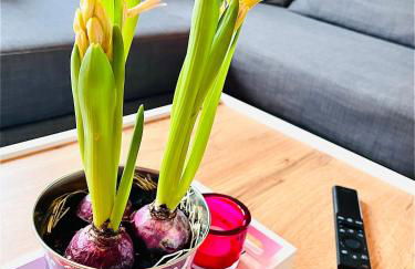 Ferienwohnung Eisenach - Kamin & Garten - Hunde willkommen - Foto 18