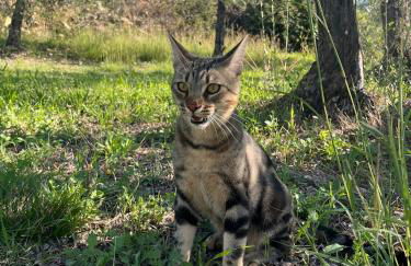 Agriturismo IL VIAIO - Foto 29