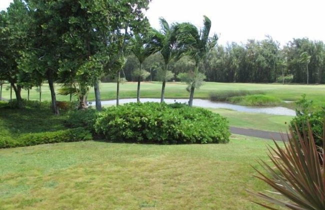 Turtle Bay Heliconia**ta-207435366401 1 Bedroom Condo by RedAwning - Foto 26