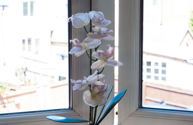 Chestnut Court - Foto 41