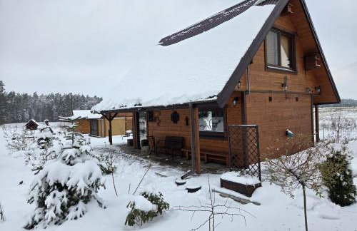 Agrosturystyka Leśna 21 - Foto 5