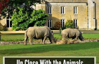 The Green Bus and the lodge - Foto 30