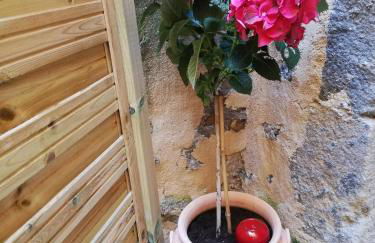 Les insolites de Champeix - Photo 59