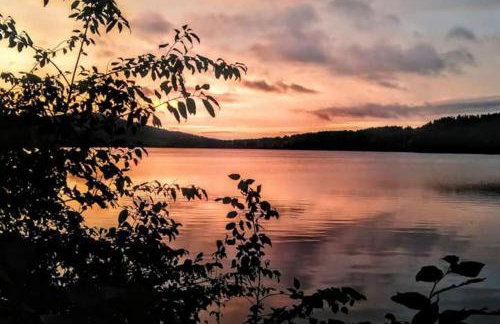 Cabin on Long Pond - Foto 27