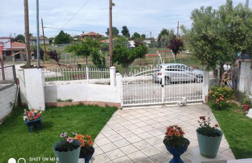 Dolphin Paradise Sozopoli - Foto 9