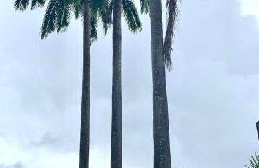 Apartamento com estilo e conforto - Foto 40