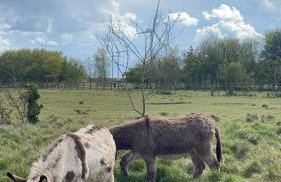 Spacious Caravan - Thorpe Park Cleethorpes - Foto 34