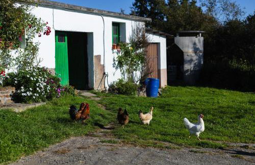 Fuenternilla - Foto 27