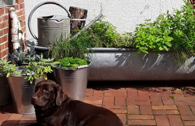 Stork's Nest Modern Retreat - Foto 19