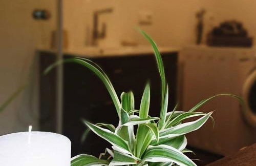 Ferien im Heckenland - Foto 23